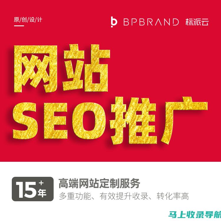 玩转SEO优化利器，站长工具综合查询全攻略