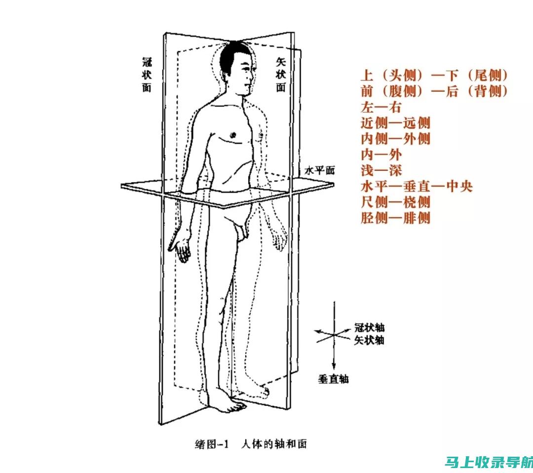 全方位解析：SEO关键词排名优化的影响因素及应对策略